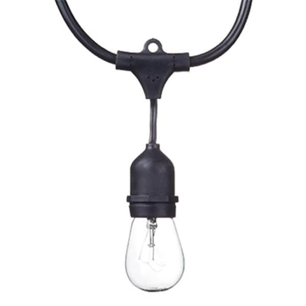 Globe Electric Globe Electric 241483 24 ft. 80 Lumens Dublin Collection S14 LED String Light Set; 12 Light 241483 - main